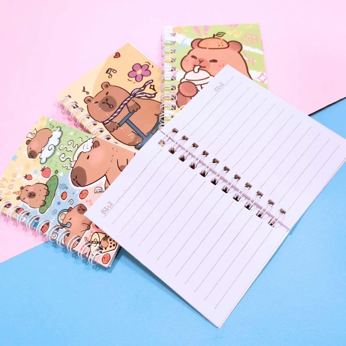 Set mini libretas Capybara c/espiral x 4 - 40 hojas